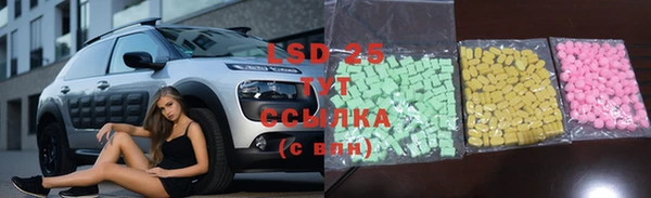 амф Гусиноозёрск