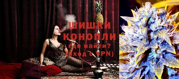 амф Гусиноозёрск