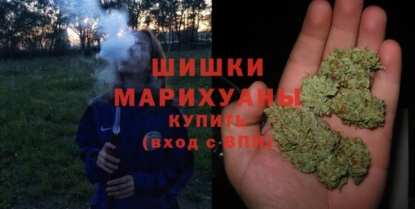 амф Гусиноозёрск