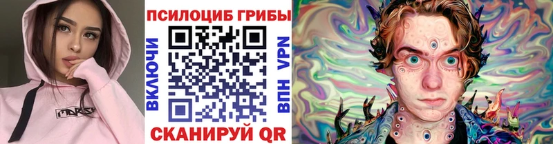 мориарти клад  Котельнич  Галлюциногенные грибы Psilocybine cubensis  где продают  